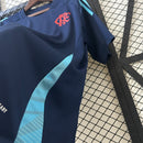 CAMISETA FLAMENGO ENTRENAMIENTO II 25/26 HOMBRE