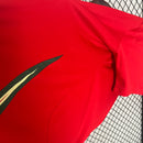 PAÍS DE GALES I I EURO 2024 HOMBRE