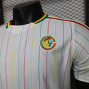 COLOMBIA I COPA AMERICA 2024 MEN'S T-SHIRT (PLAYER VERSION) 